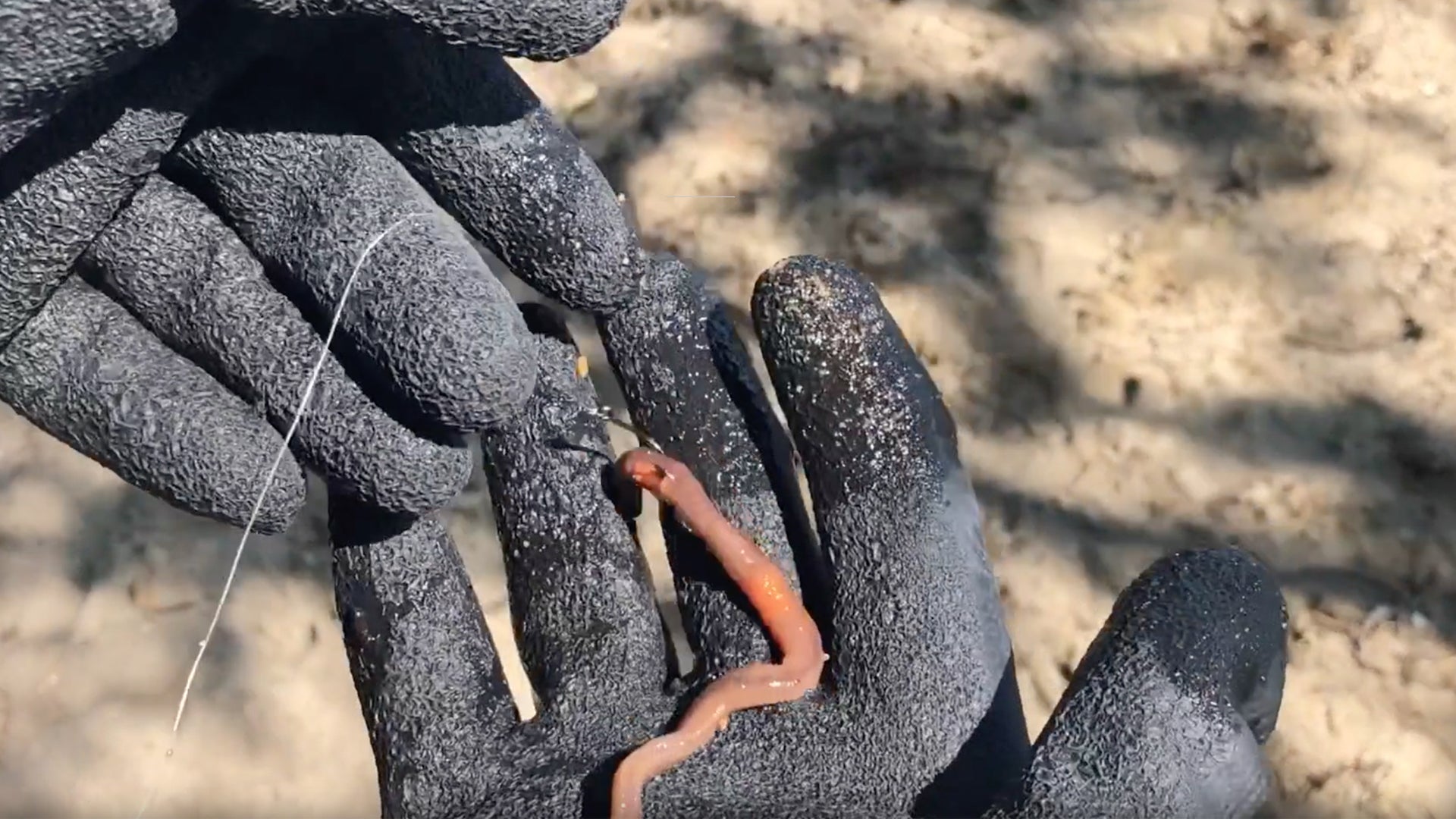 Saltwater Fishing Gloves Cut & Grip Resistant
