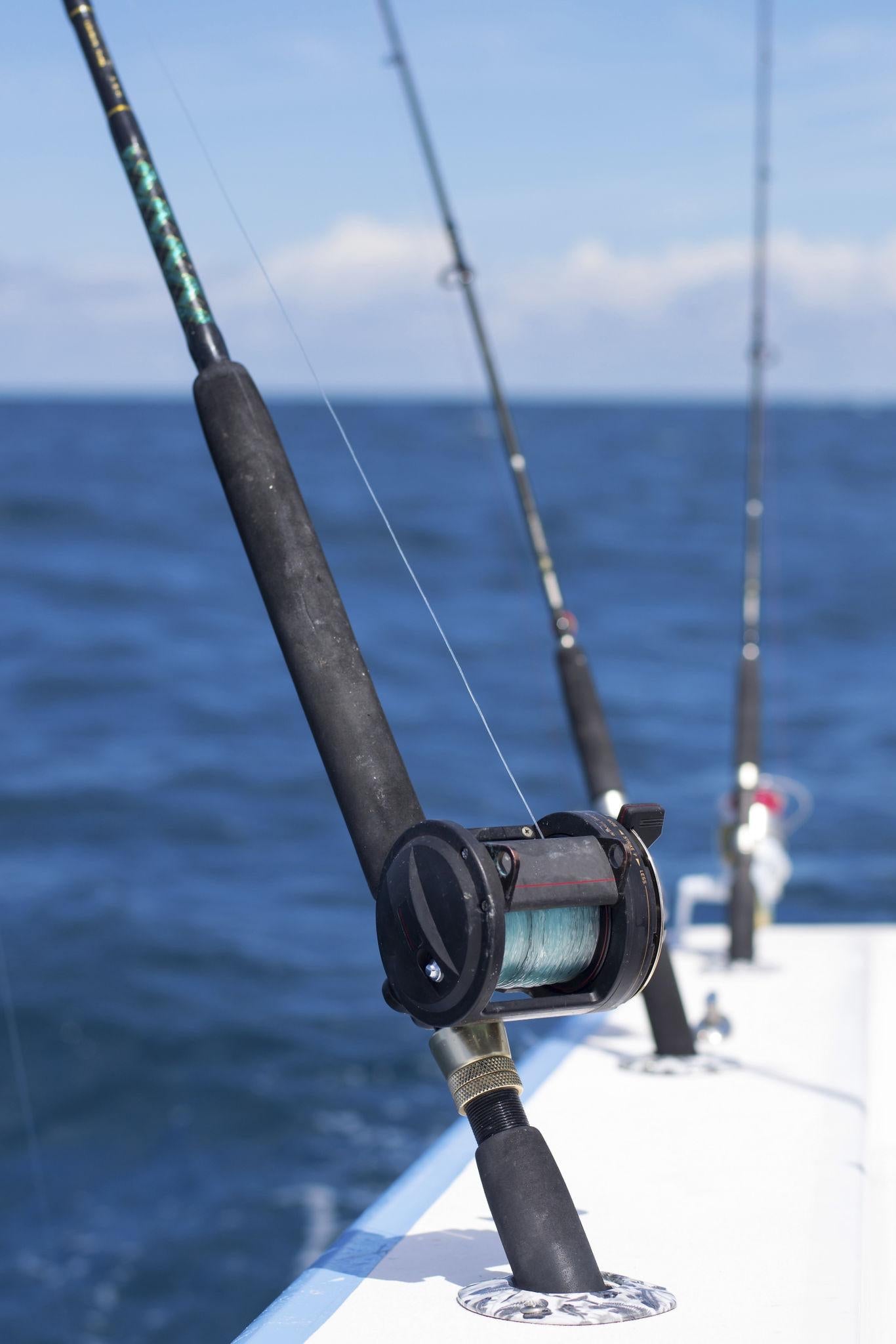 Saltwater Fishing Rod Medium Heavy Power All-Around Performance