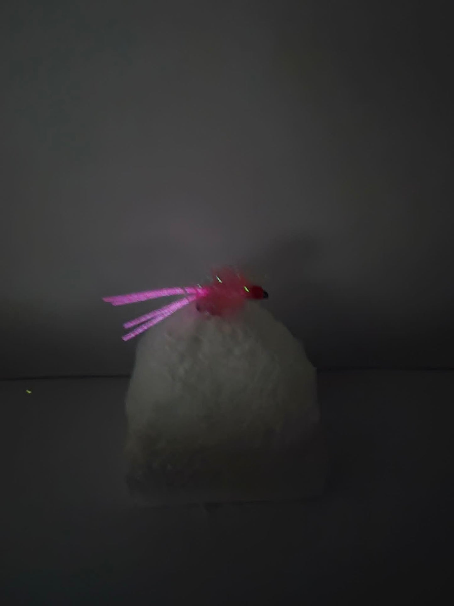 SACA Fly – The Ultimate Live Bait Catcher