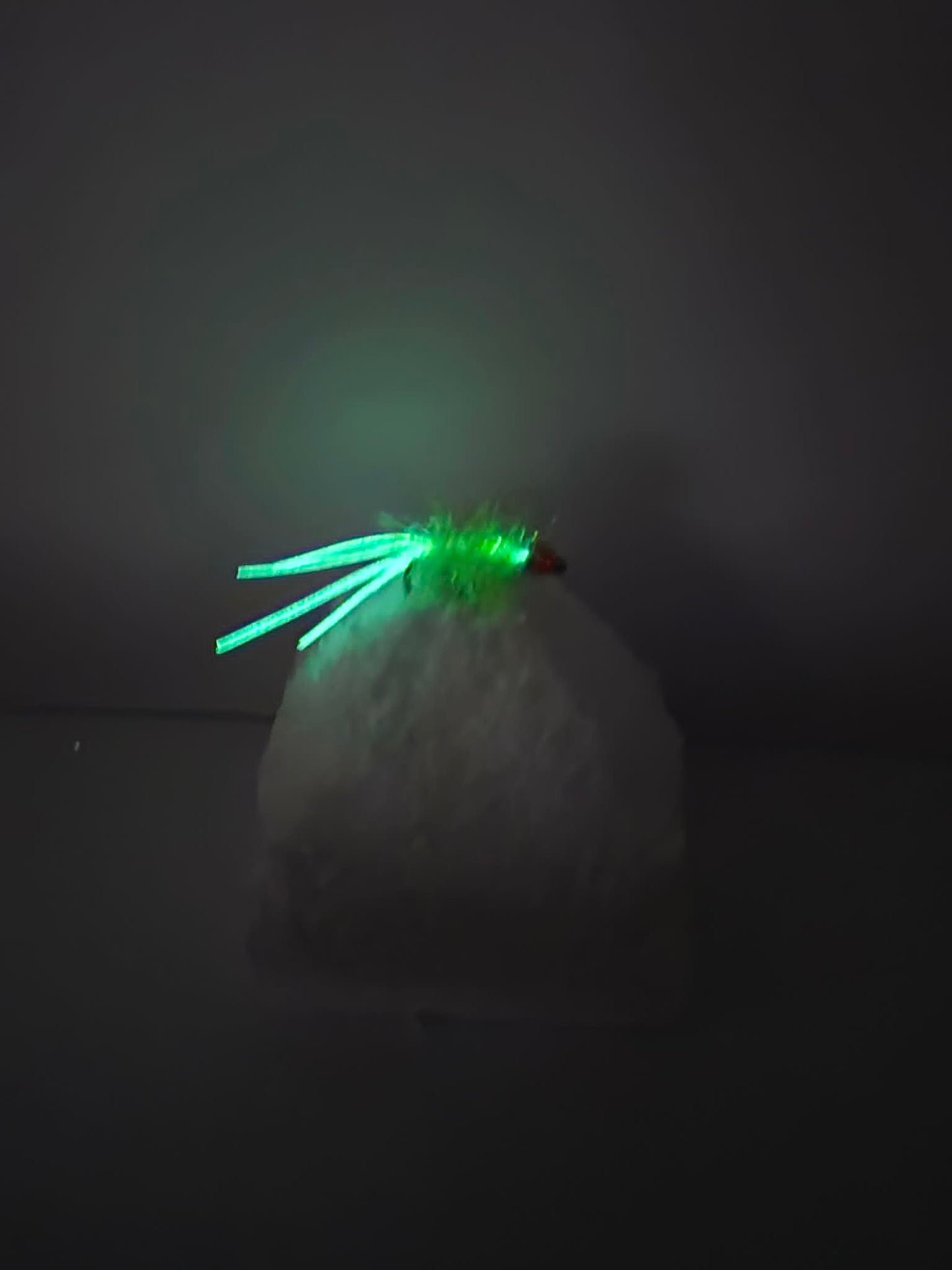 SACA Fly – The Ultimate Live Bait Catcher