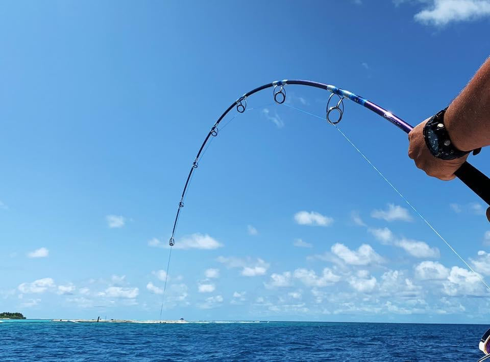 Saltwater Fishing Rod Medium Heavy Power All-Around Performance